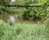 S-Wurf Übungswasser_1200x800